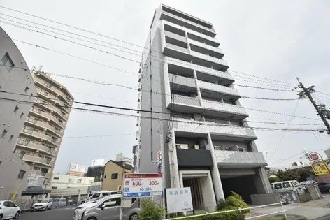 プライムローズの画像