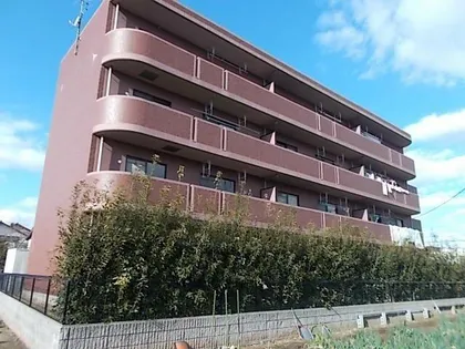 シャルマン篠木の画像