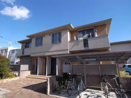 ベヌスタ丸橋の画像