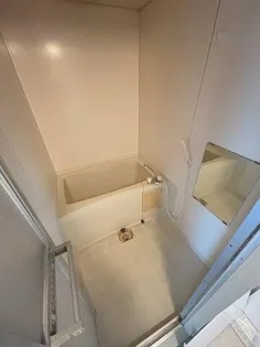 ビューハイム茶の木【401号室】の風呂