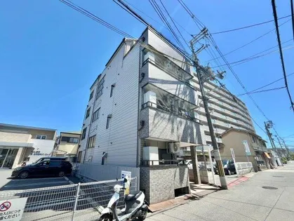 レイナ ピノ道明寺の画像