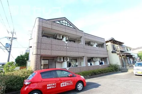 日吉の森の画像