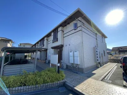 PRIMASTELLAの画像