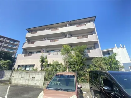 ピュアプレイスの画像