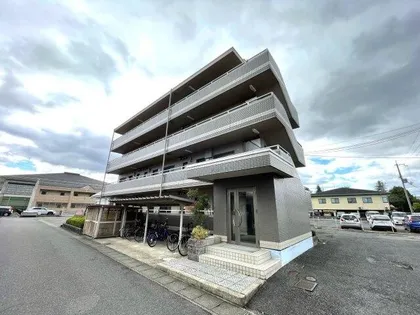 メゾンクレーネの画像