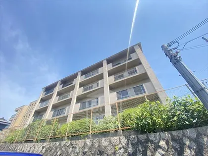 マンション紫明園の画像