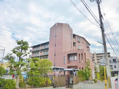 ゑびす若林の画像