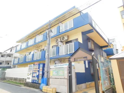 スカイブルーの画像