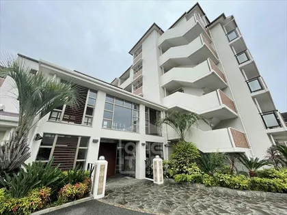 ハレ ラウレアの画像