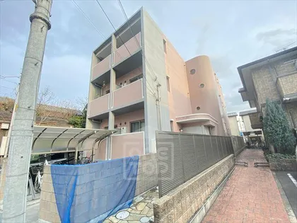 ラフィーネの画像