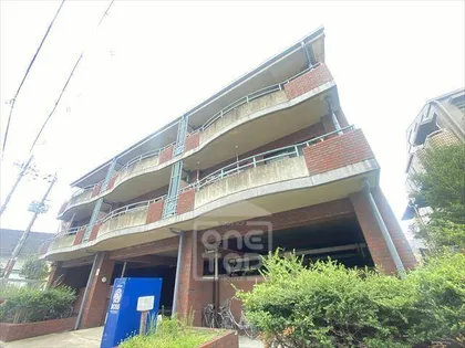 マカハウエストの画像