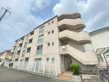 プロッグコートの画像