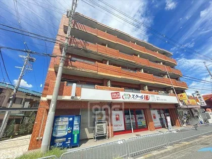 エリータ鳥飼の画像