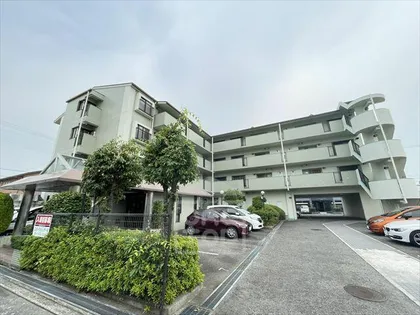 ベラディール1の画像