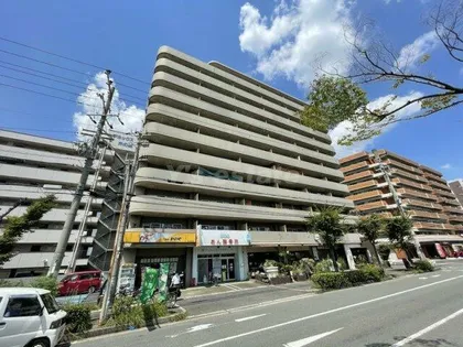 木の国ハイツの画像