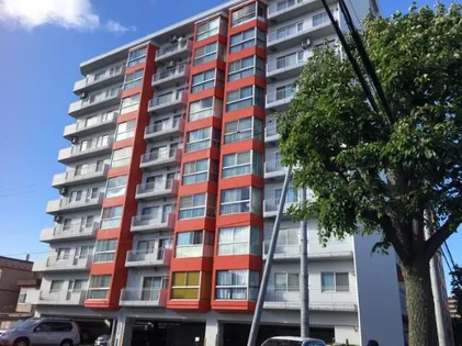 カトレアハイツ札幌の画像