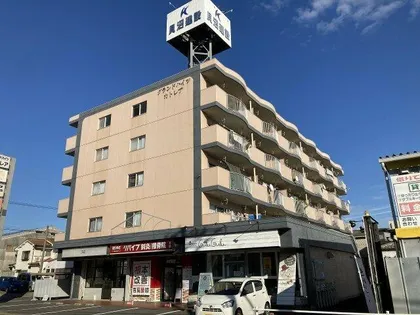 グランドハイツカトレア【4階】の外観