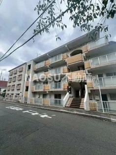 ドムール芝高の画像