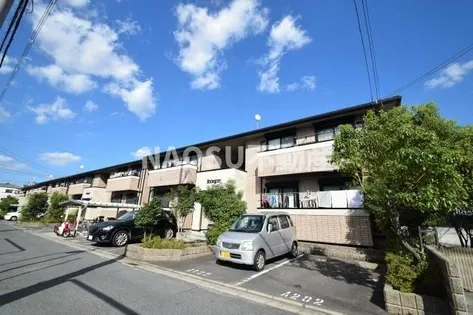 メゾンニュー池島 Aの画像