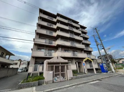 メゾンセレナ【5階】の外観