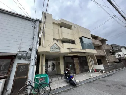 ピア門戸の画像