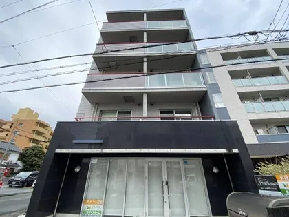 STEL LAの画像