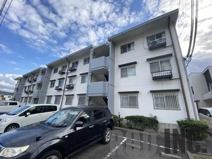 ウィステリア構の画像