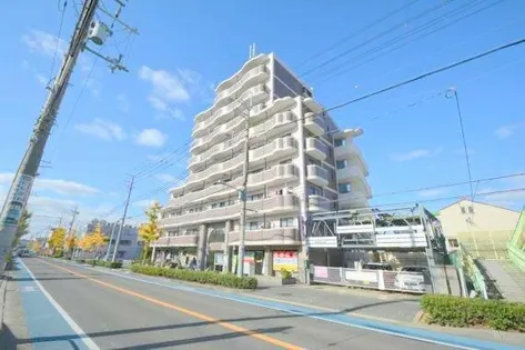 パルティグの画像