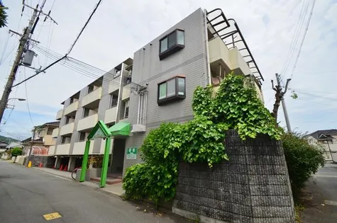 センチュリーアート21の画像