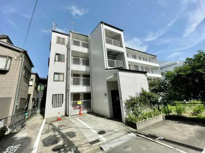 トレイズの画像