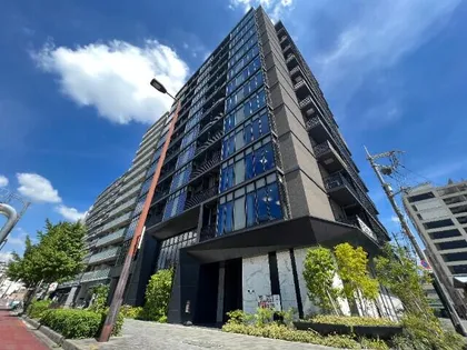 THE HIGH HORIEの画像