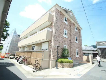 ソフィエルIIIの画像