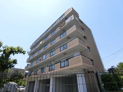 カモミール ブランの画像