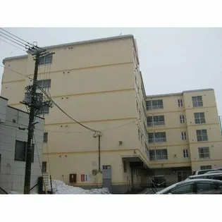 ロジェ若竹の画像