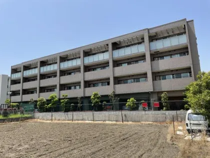 ミラベルの画像