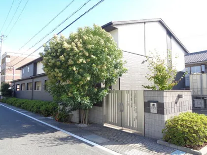 ドルチェの画像