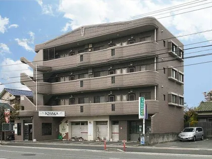 TNアルテミスの画像