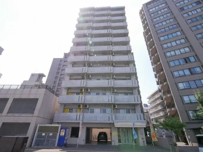 セントポーリアグランデュールの画像