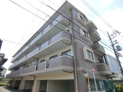 ハイツションブリアンの画像