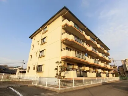 シャロームDの画像