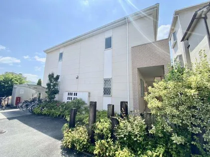 ミリオン志紀の画像