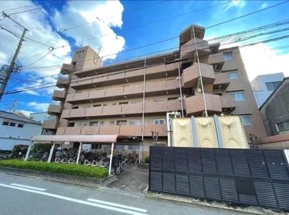 ノースフライトの画像