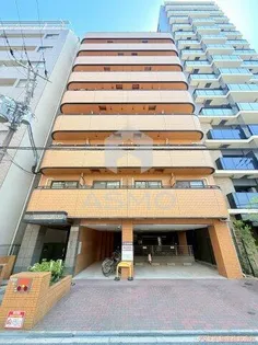 インターナショナル上汐の画像