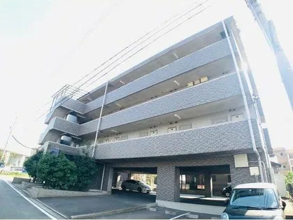 セカンドシェニールの画像