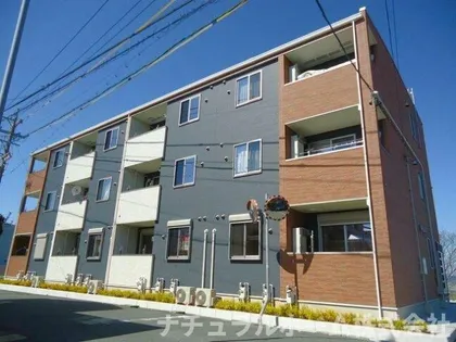 スター・ヒル桜木【3階】の外観