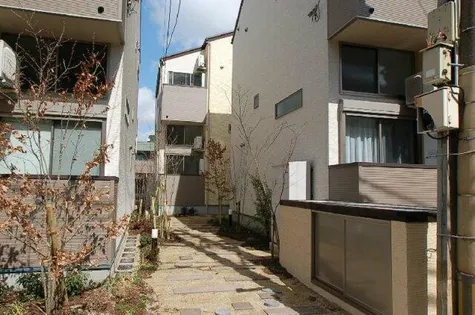 アプリコットの画像