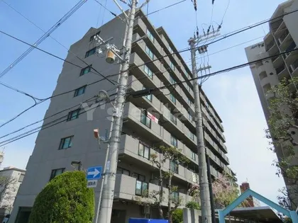 サンオークタツミの画像