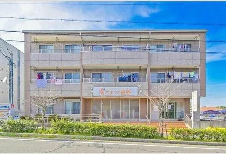 ブラウベルグの画像