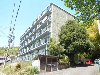 グリーンコートの画像