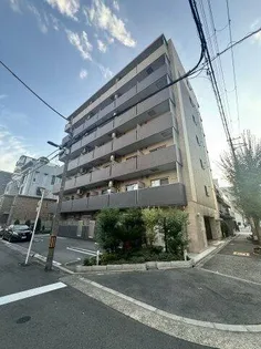 ノーサイド立葉の画像